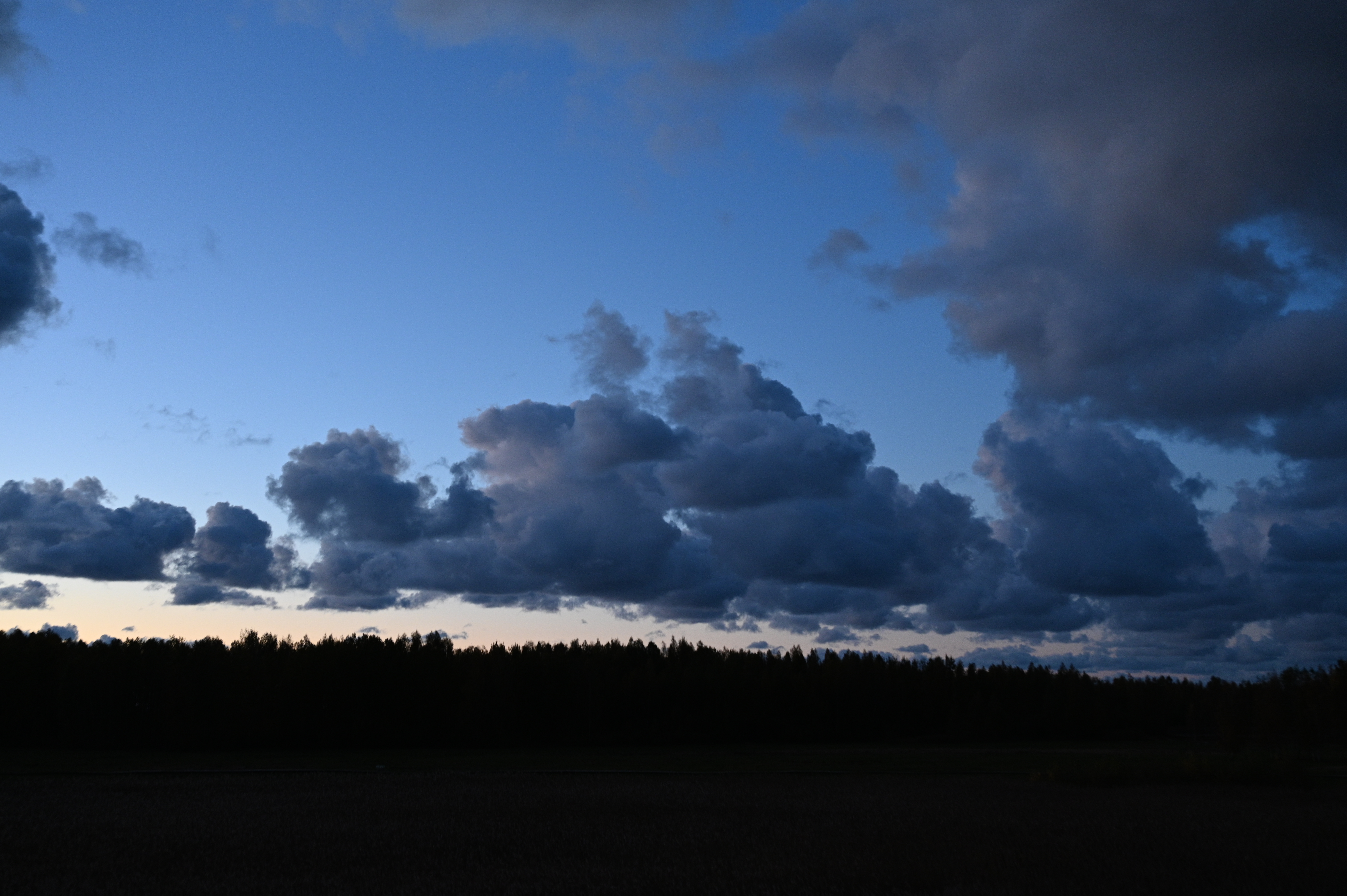 2025/10/18 - walk/DSC_0630.JPG